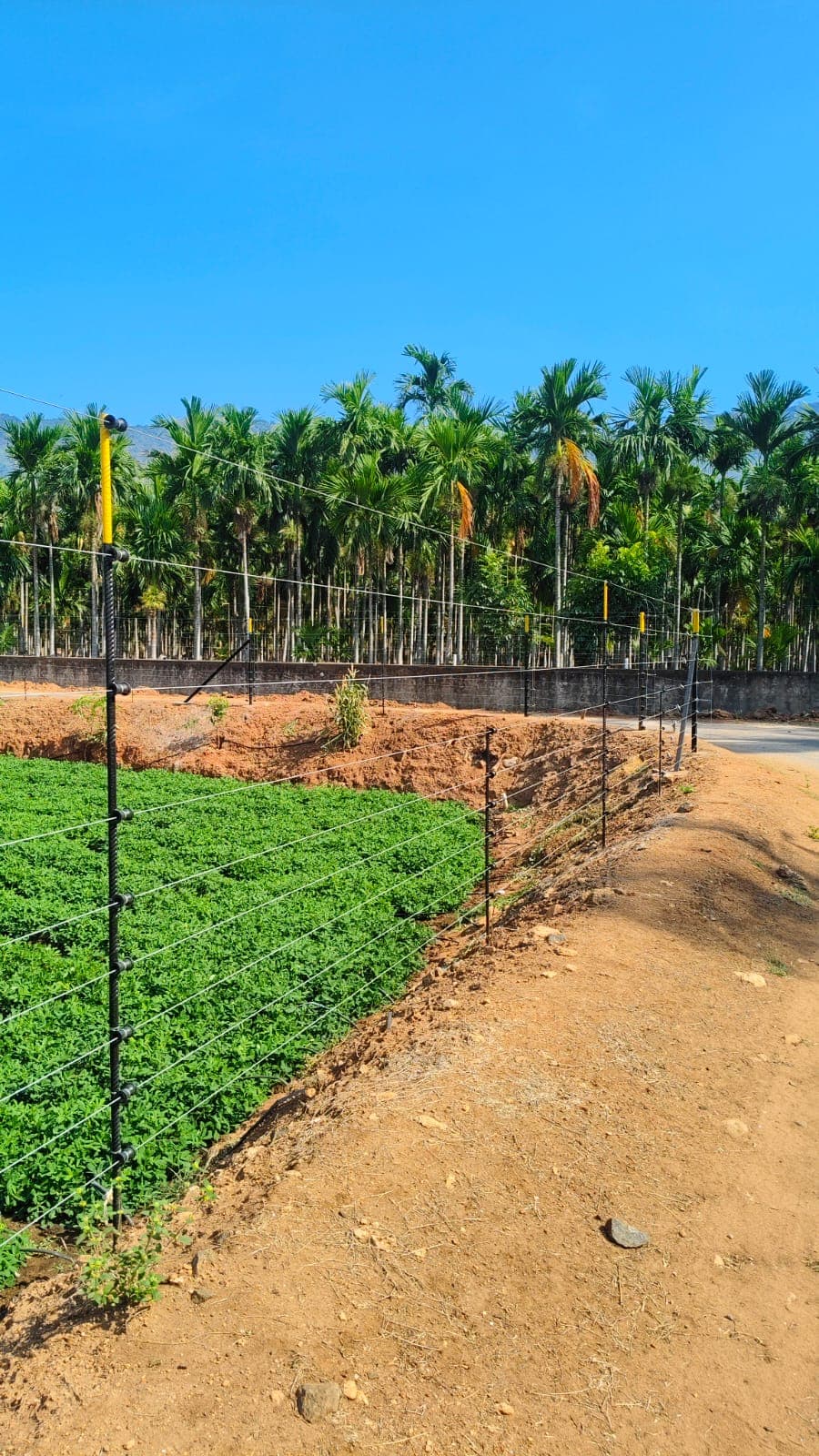 Solar company hero image 1